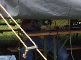 2014 Fieldday_097.jpg